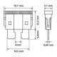 ΑΣΦΑΛΕΙΕΣ ΣΕΤ ΣΕ ΚΟΥΤΙ 80ΤΕΜ. PLUG-IN 12/32V (ΜΕ ΕΡΓΑΛΕΙΟ ΑΦΑΙΡΕΣΗΣ) Ασφάλειες